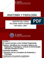 1 Anatomia