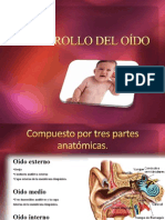 Desarrollo Del Oído