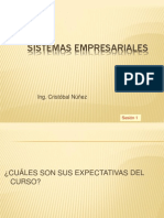 Sistemas Empresariales: Ing. Cristóbal Núñez