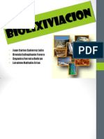 biolixiviacionolixiviacionbacteriana-121128232351-phpapp01