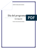 Día Del Programador