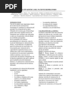 Valoración Kinésica Del Paciente Respiratorio