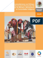 6.Recomendaciones Con Enfoque Intercultural Para La Prevencion Del Consumo de Alcohol Y Alcoholismo en Comunidades Indigenas