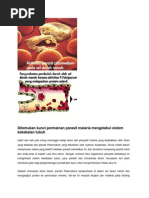 Download Malaria by marthafitri SN240009772 doc pdf
