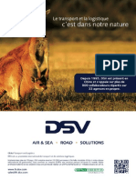 Pub DSV.pdf