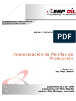 Interpretacion de Perfiles de Produccion