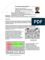 Endogenous Process