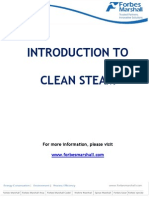 Introduction To Clean Steam