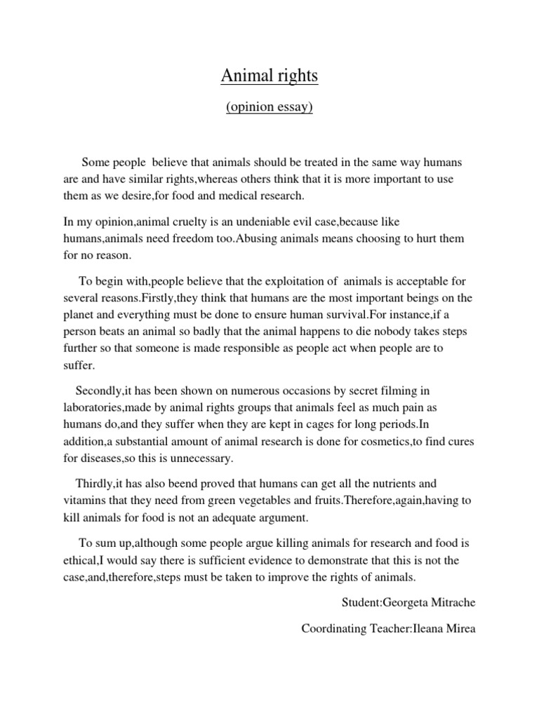 introduction essay about animal rights