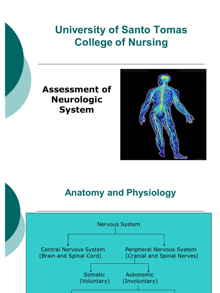 Neurologic System | PDF