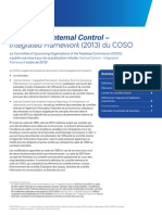 Cadre 2013 Coso PDF