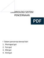 Embriologi Sistem Pencernaan