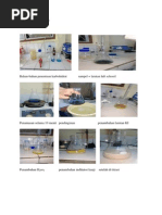 Download Penetapan Kadar Karbohidrat Dengan Metode Luft Schoorl by Eka Andrian SN240031208 doc pdf