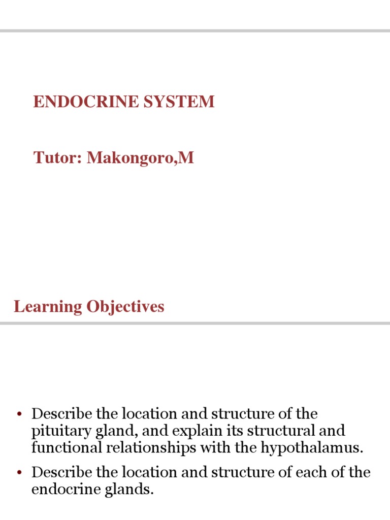 Endocrinology Download Free Pdf Hormone Endocrine System