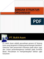 Perbandingan Struktur Organisasi