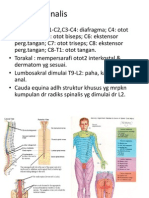 Trauma Medula Spinalis