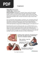 Download Parasitic DiseaseTaxoplasmosis by Brijesh Singh Yadav SN24004140 doc pdf