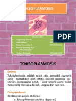 TOKSOPLASMOSIS PENYAKIT ZOONOSIS