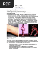 Download Parasitic Disease Schistosomiasis by Brijesh Singh Yadav SN24005346 doc pdf