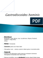 Gastrodiscoides Hominis