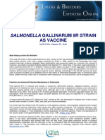 Salmonella: Gallinarum 9R Strain As Vaccine