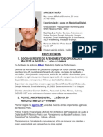 Currículo - Rafael Silvestre - Profissional de Marketing Digital