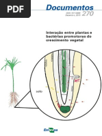 Plantas e Bactérias Promotoras de Crescimento