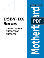 DSBV DX_manual.pdf