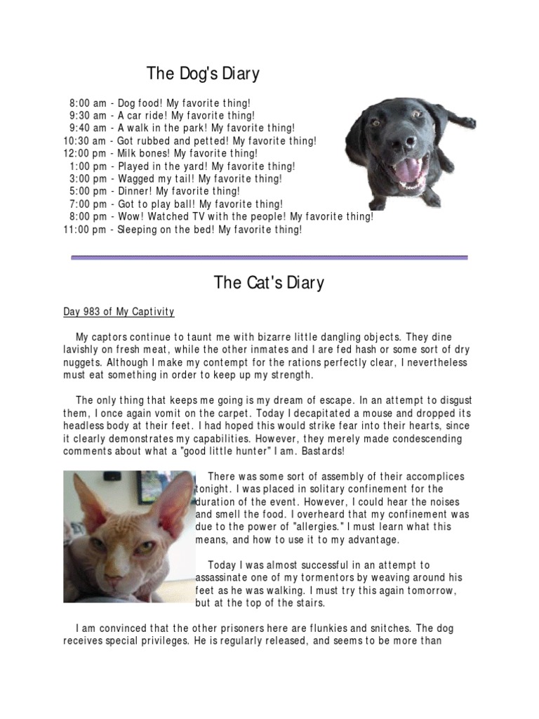 Dog Diary vs. Cat Diary | PDF | Violence | Prison