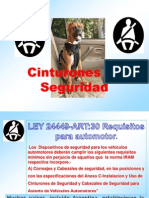 Cinturn de Seguridad