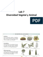 Lab7_Diversidad Vegetal y Animal