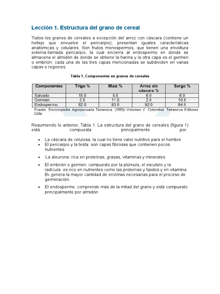 Estructura y Composicion Quimica de Los Cereales