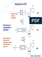 Hydrolysis Reactions