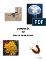 Zoología de Invertebrados