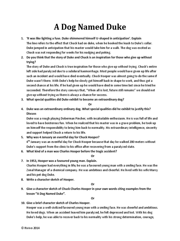 A Dog Named Duke Grief