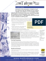 Cobit Doc PDF