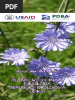 Medicinal Plants From Moldova SmallFile