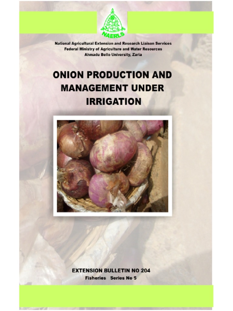 Onions | PDF | Onion | Sowing