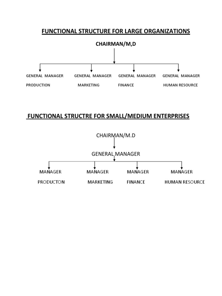 Functional Structure of Organizations | PDF
