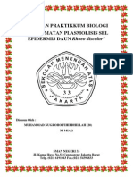 Plasmolisis Rhoeo Discolor