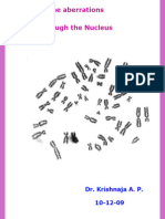 Chromosome Aberrations. 10th December 2009