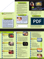 GdeConflito 15 PDF