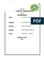 El Proceso de La Fermantacion