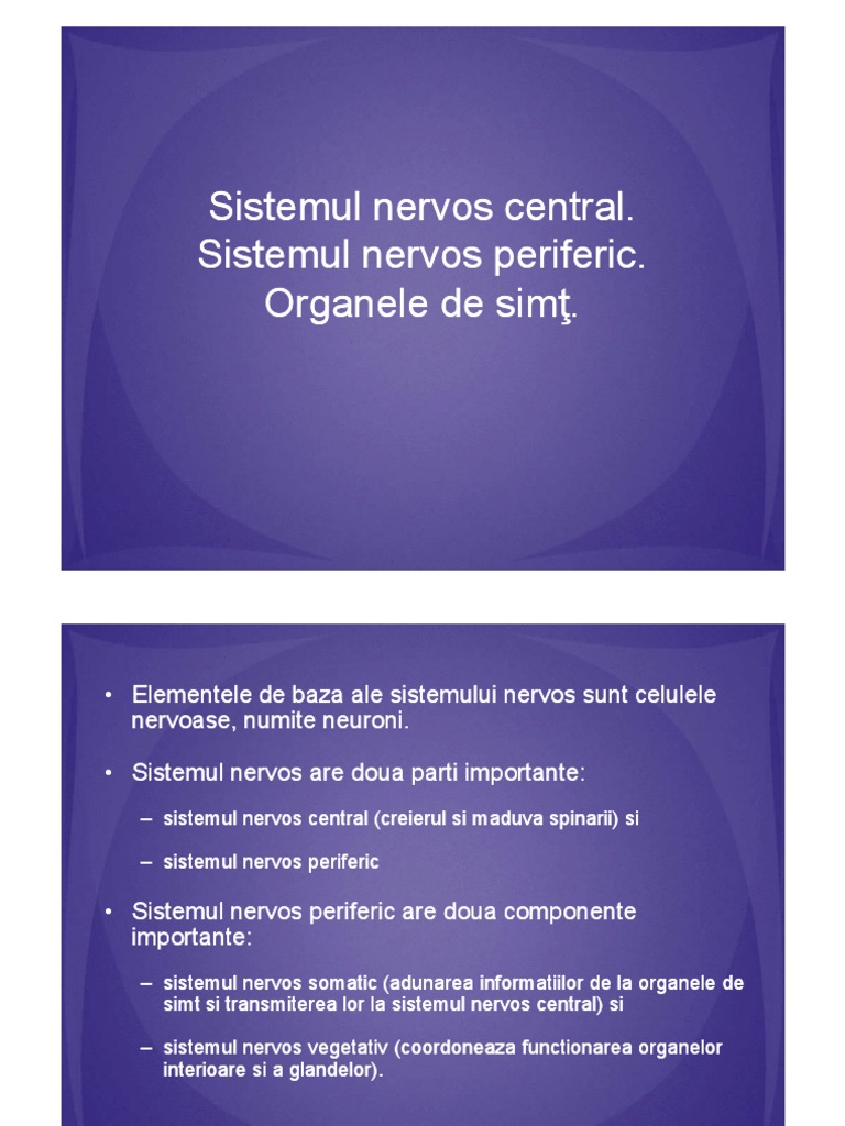 Sistemul Nervos Organele de Simt | PDF