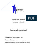 Psicologia Organizacional