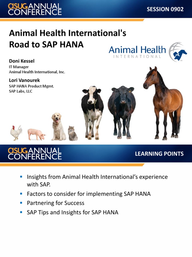 0902 2013AC Animal Health International Road to SAP HANA Version 2b