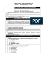 Areas y Lineas de Investigacion en Enfermeria