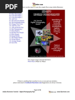 Download Adobe Illustrator Tutorials Digital Photography Flyer by Renee Liverpool SN24019341 doc pdf