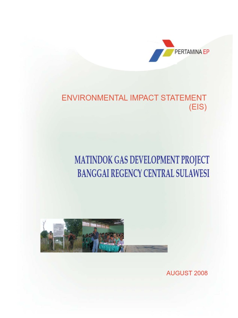 1 1 1 Environmental Impact Statement Ppgm Environmental Impact