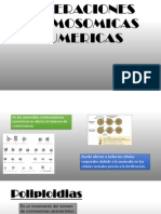 ALTERACIONES CROMOSOMICAS NUMERICAS